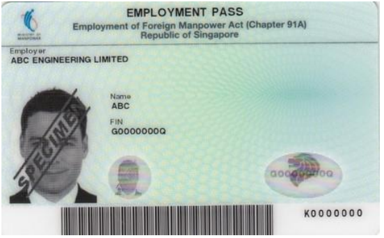 FIN on employment Pass - front